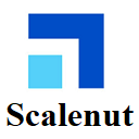 AI Assistant